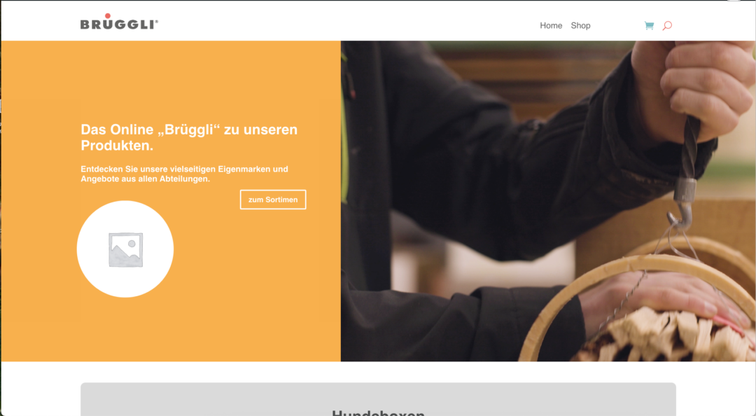 Brüggli Webshop